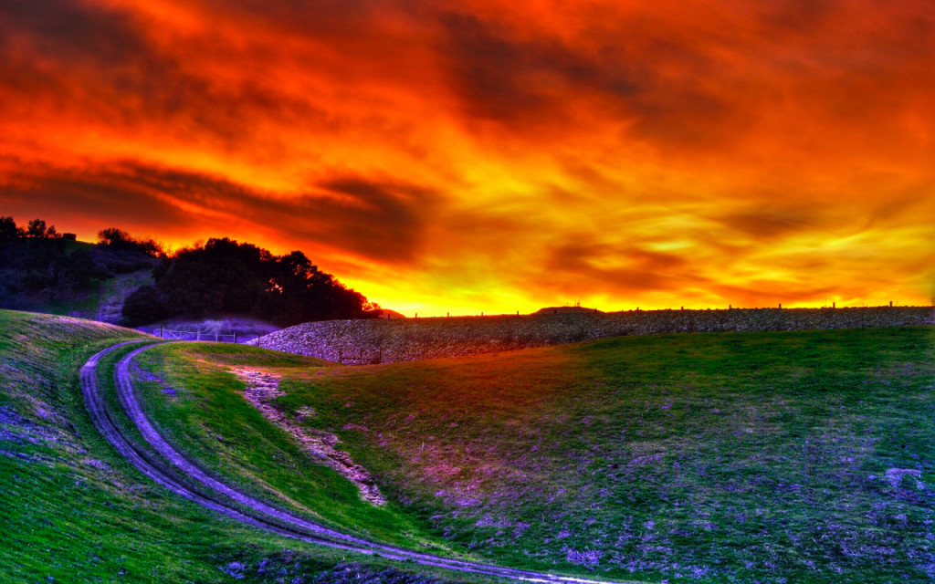 roll hills with an orange sunset