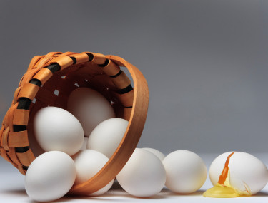 diversification all eggs in one basket