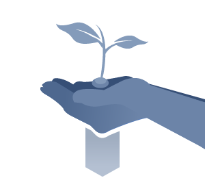 make a financial plan in japan