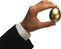 dont put all your eggs in one basket