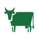 bull market japan