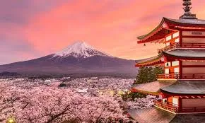 Retire in Japan.